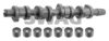 SWAG 30 93 3197 Camshaft Kit